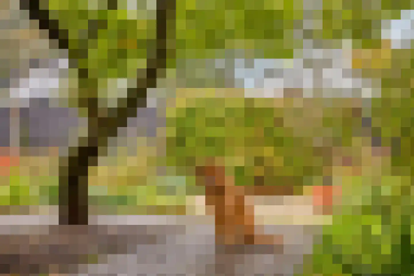 Van den Wijghaertstraat 32 Vught thumbnail 51