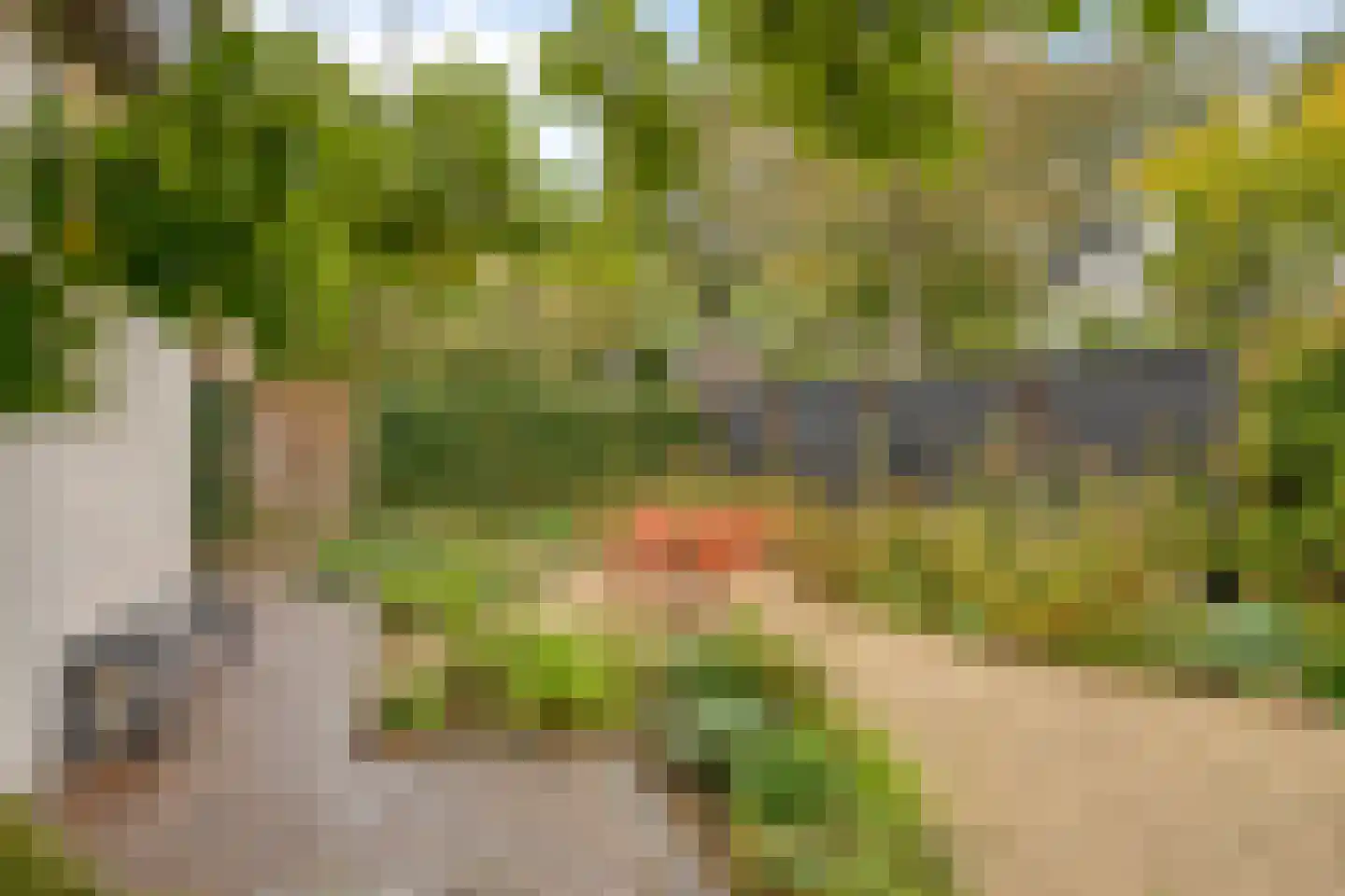 Van den Wijghaertstraat 32 Vught thumbnail 54