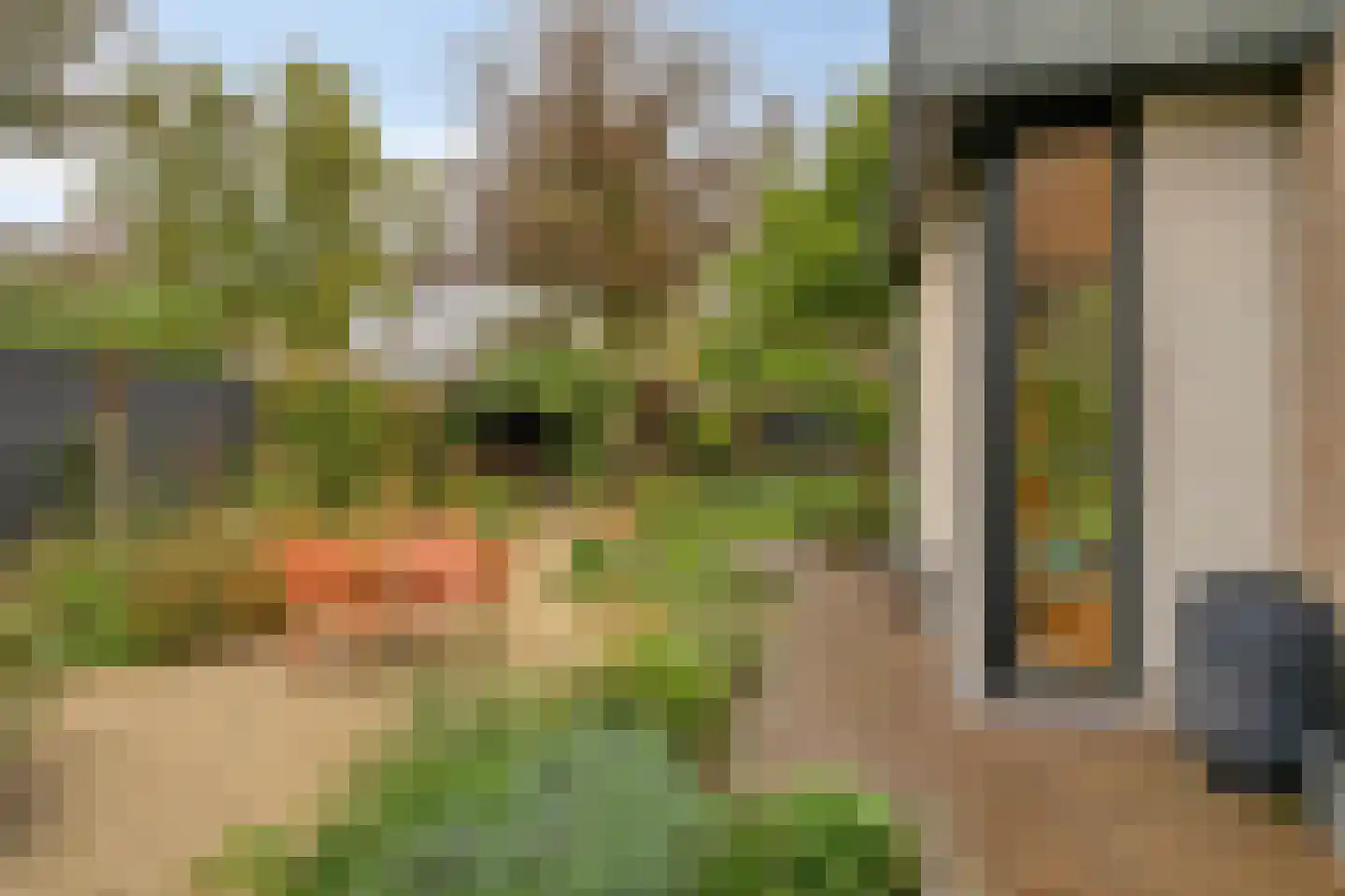 Van den Wijghaertstraat 32 Vught thumbnail 55