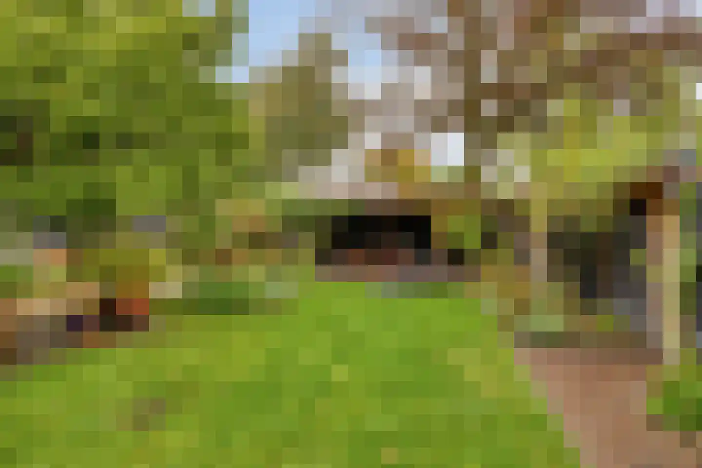 Van den Wijghaertstraat 32 Vught thumbnail 56
