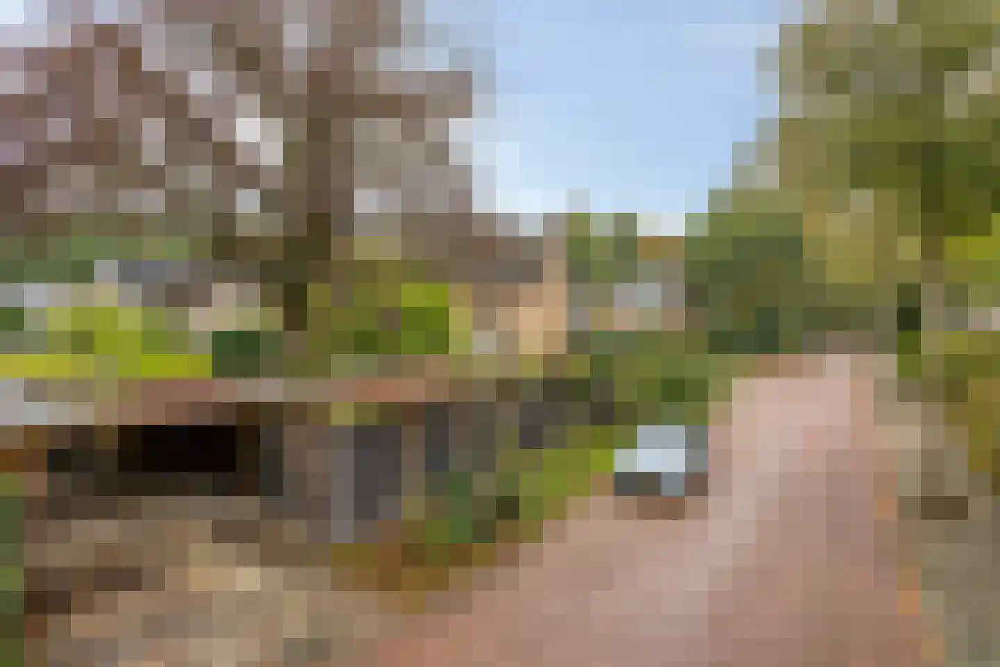 Van den Wijghaertstraat 32 Vught thumbnail 63