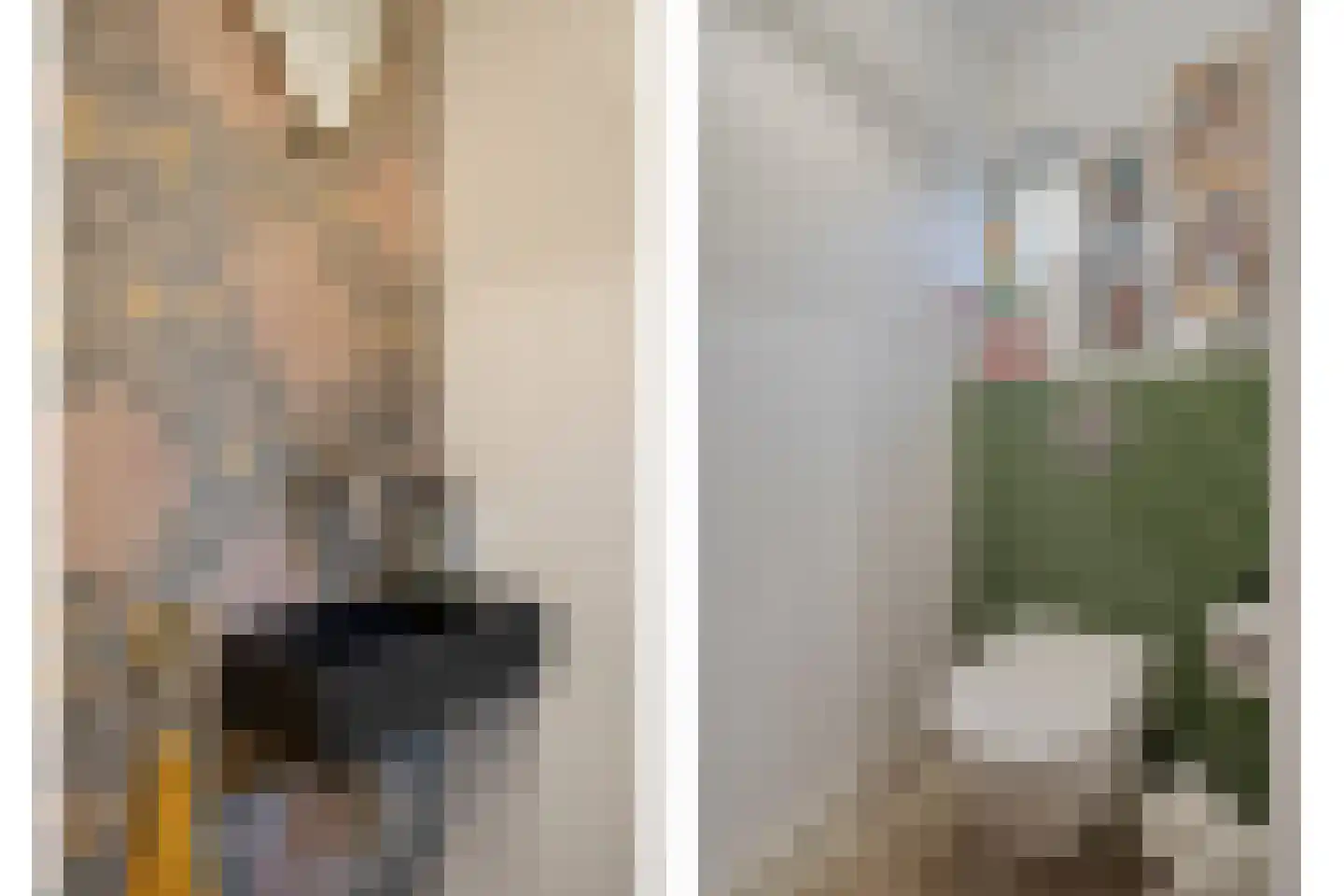 Van den Wijghaertstraat 32 Vught thumbnail 7