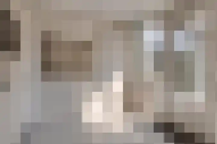 Van den Wijghaertstraat 5 Vught thumbnail 12
