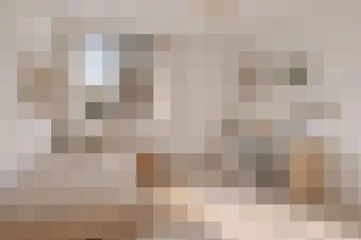 Van den Wijghaertstraat 5 Vught thumbnail 22