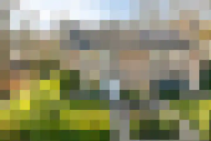 Van den Wijghaertstraat 5 Vught thumbnail 36