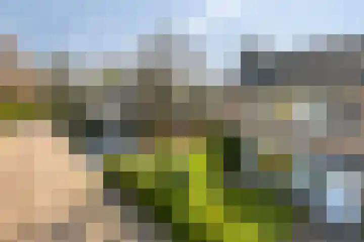 Van den Wijghaertstraat 5 Vught thumbnail 37