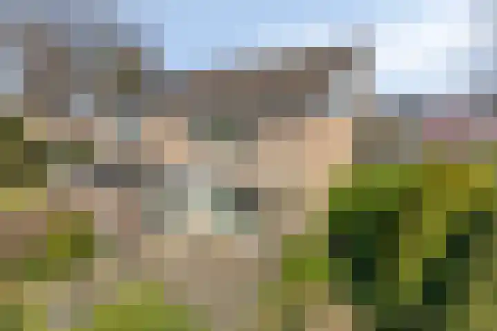 Van den Wijghaertstraat 5 Vught thumbnail 38