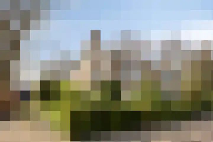 Van den Wijghaertstraat 5 Vught thumbnail 39