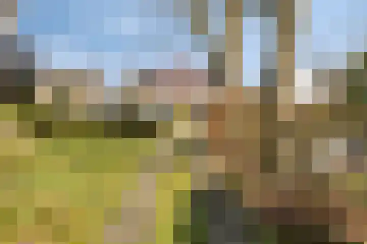 Van den Wijghaertstraat 5 Vught thumbnail 40