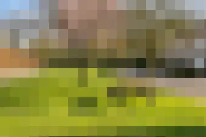 Van den Wijghaertstraat 5 Vught thumbnail 41