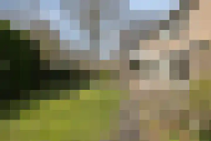 Van den Wijghaertstraat 5 Vught thumbnail 43