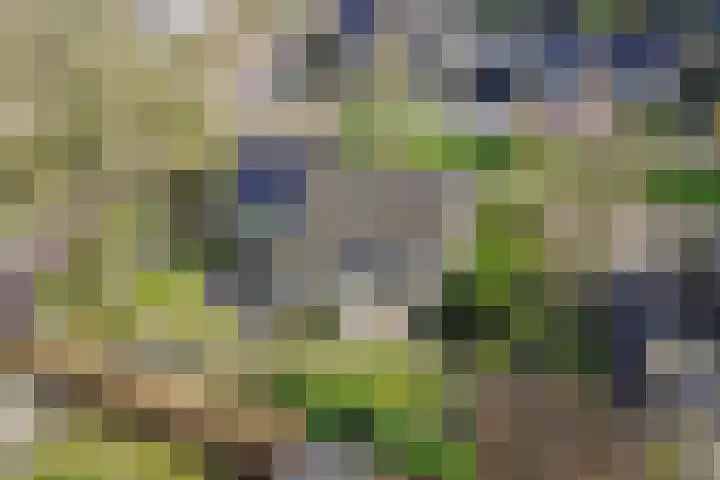 Van den Wijghaertstraat 5 Vught thumbnail 46
