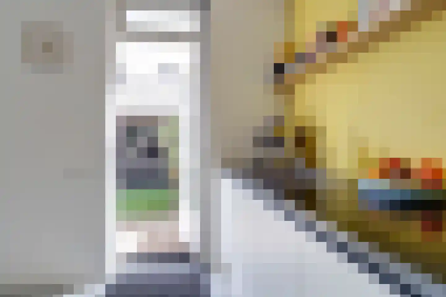van den Woudestraat 22 Warmond thumbnail 25