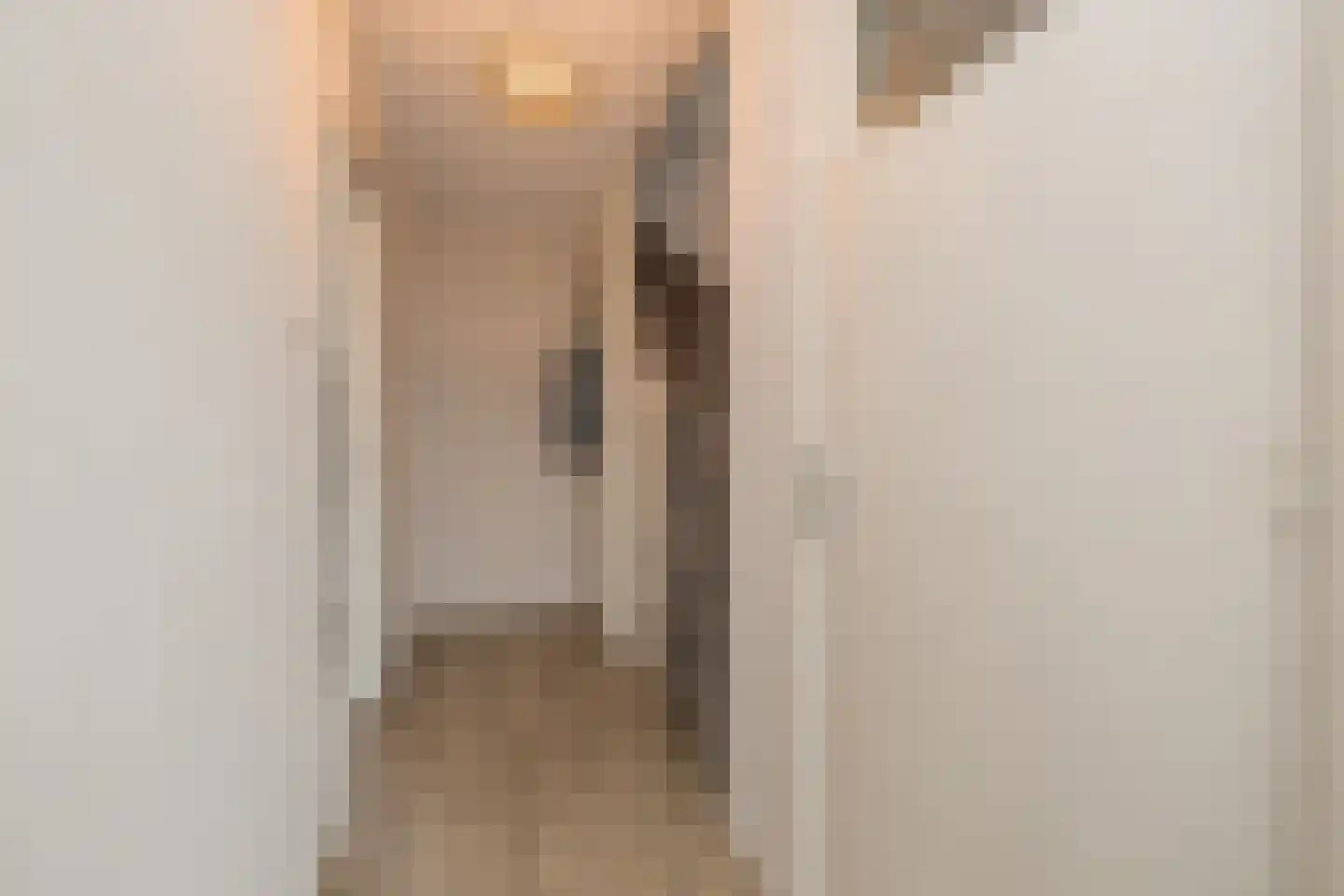 van den Woudestraat 26 Warmond thumbnail 8