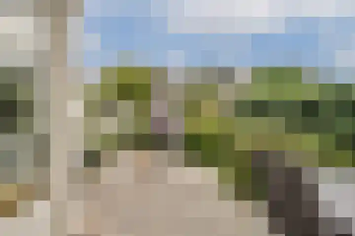 van den Woudestraat 28 Warmond thumbnail 12