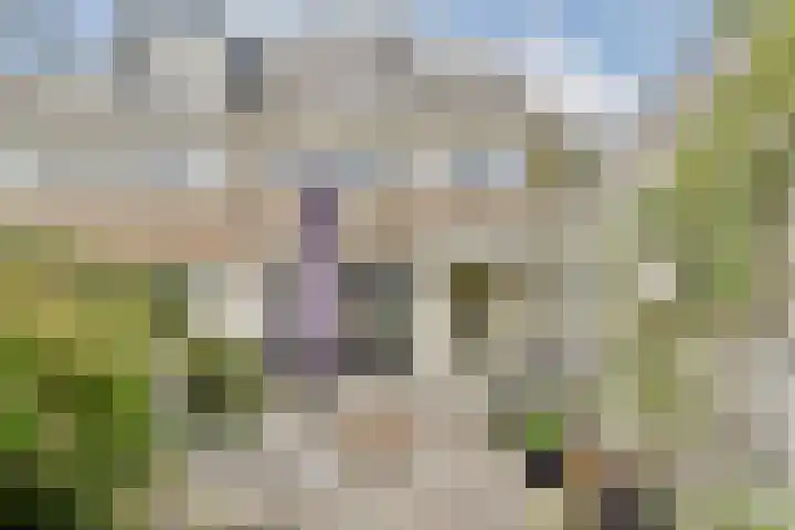 van den Woudestraat 28 Warmond thumbnail 13