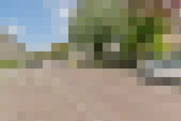 van den Woudestraat 28 Warmond thumbnail 29
