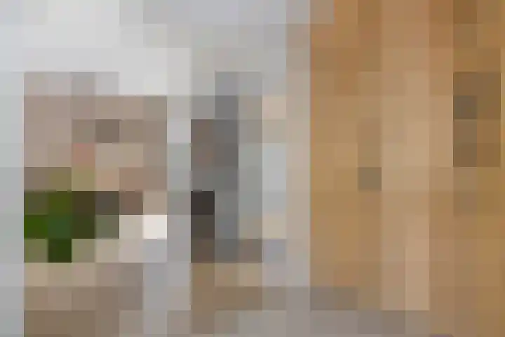 Van der Aastraat 25 Tilburg thumbnail 17