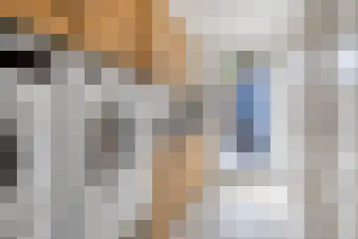 Van der Aastraat 25 Tilburg thumbnail 22