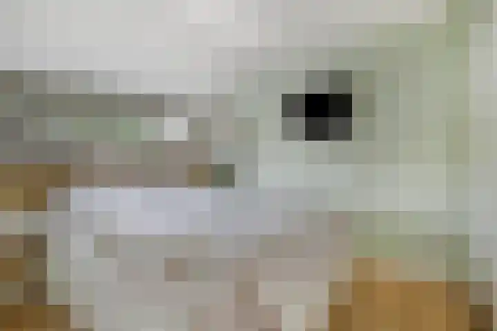 Van der Aastraat 25 Tilburg thumbnail 25