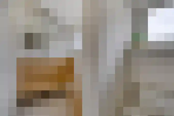 Van der Aastraat 25 Tilburg thumbnail 29