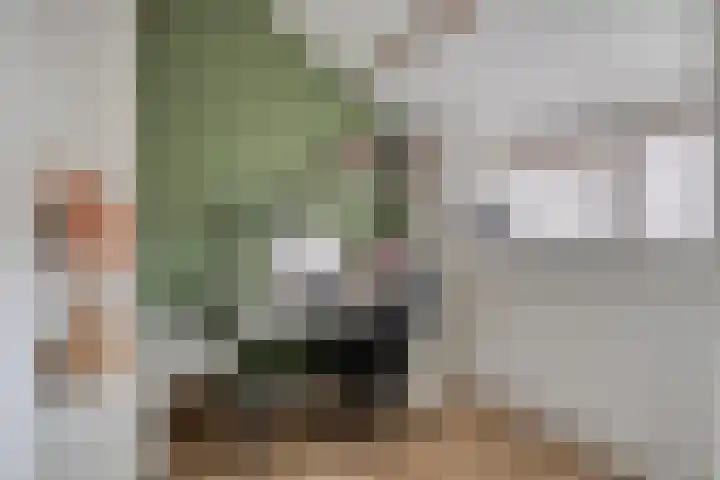Van der Aastraat 25 Tilburg thumbnail 30