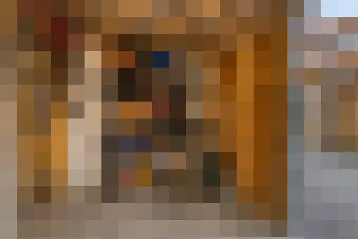 Van der Aastraat 25 Tilburg thumbnail 38
