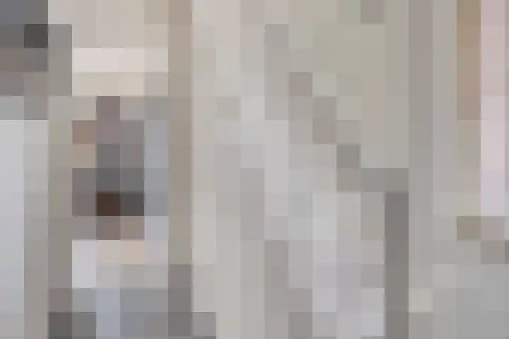 Van der Aastraat 25 Tilburg thumbnail 5