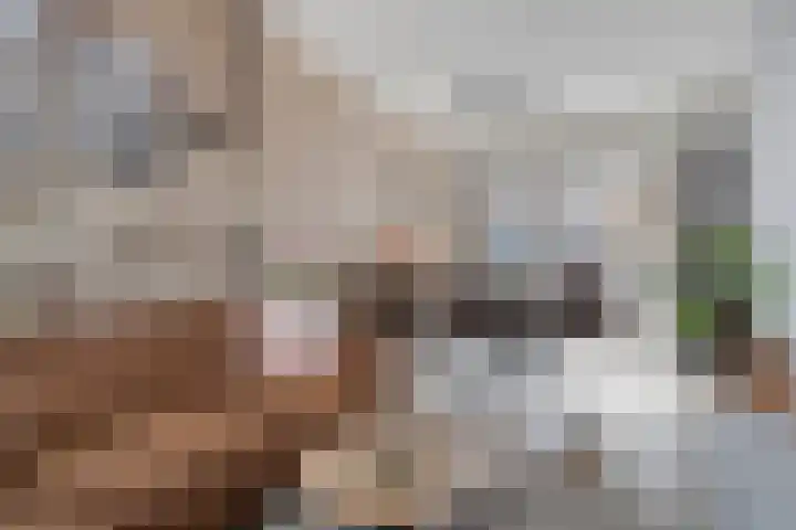 Van der Aastraat 25 Tilburg thumbnail 9