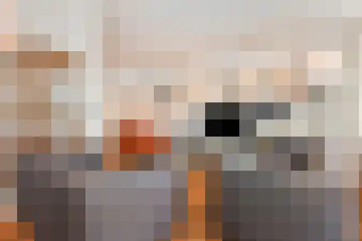 Van der Aastraat 28 Den Haag thumbnail 10