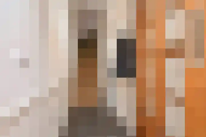 Van der Aastraat 28 Den Haag thumbnail 6