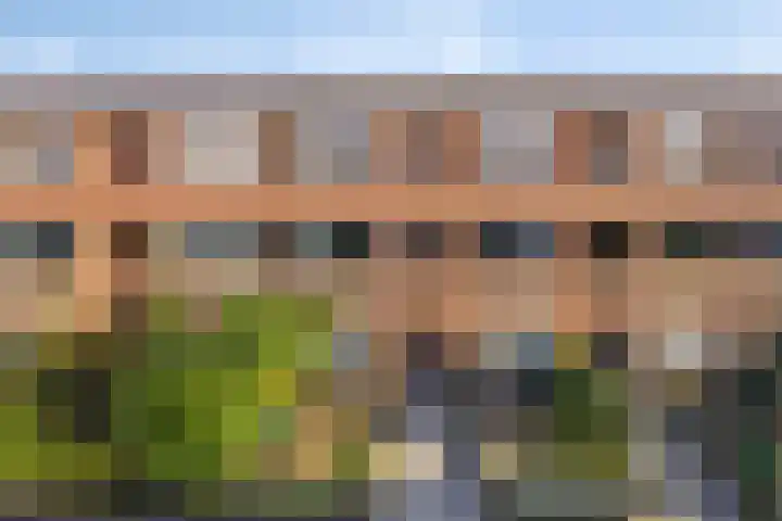 Van der Aastraat 65 Den Haag thumbnail 4