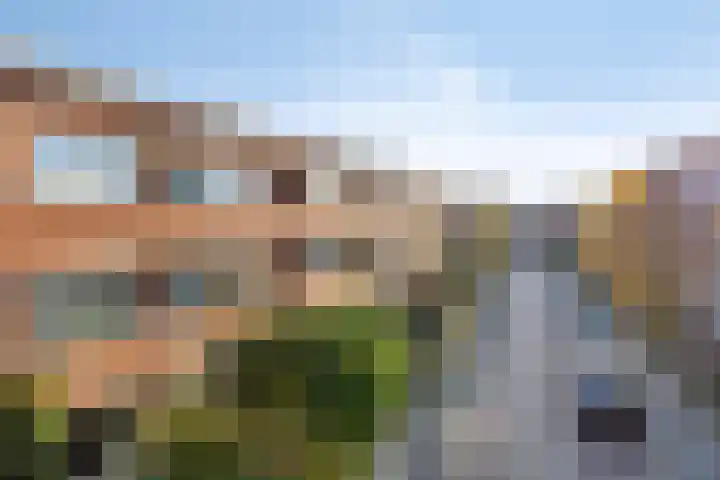 Van der Aastraat 65 Den Haag thumbnail 5