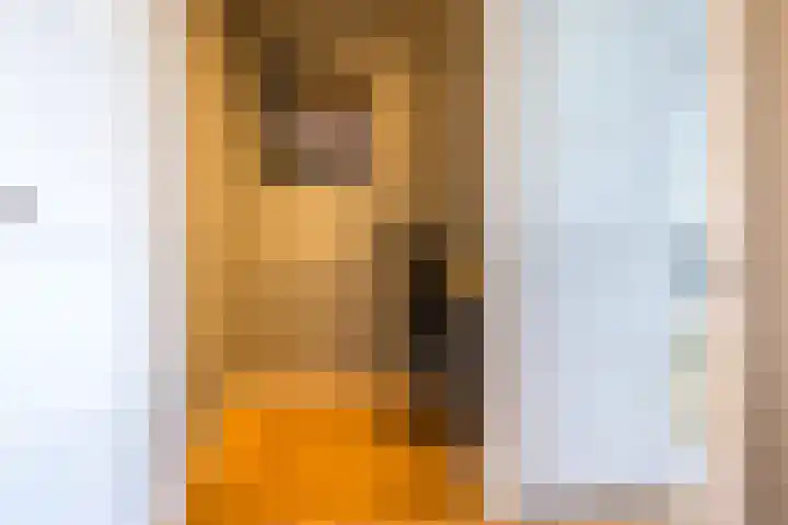 Van der Aastraat 66 Den Haag thumbnail 33