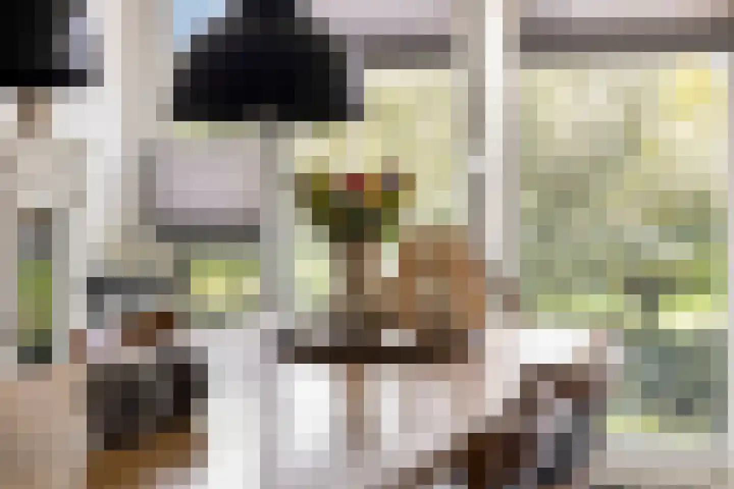 Van der Astpad 11 Alkmaar thumbnail 10