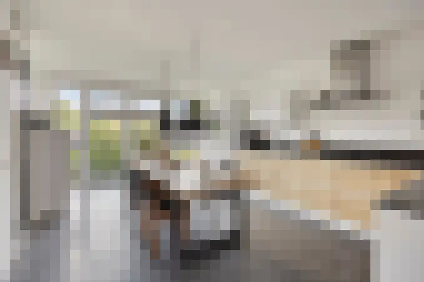Van der Astpad 11 Alkmaar thumbnail 11