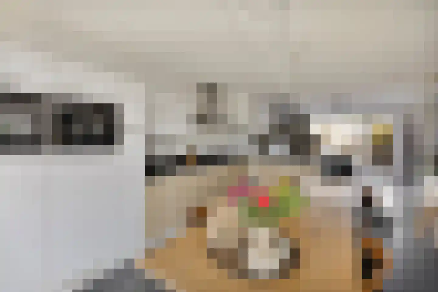 Van der Astpad 11 Alkmaar thumbnail 14