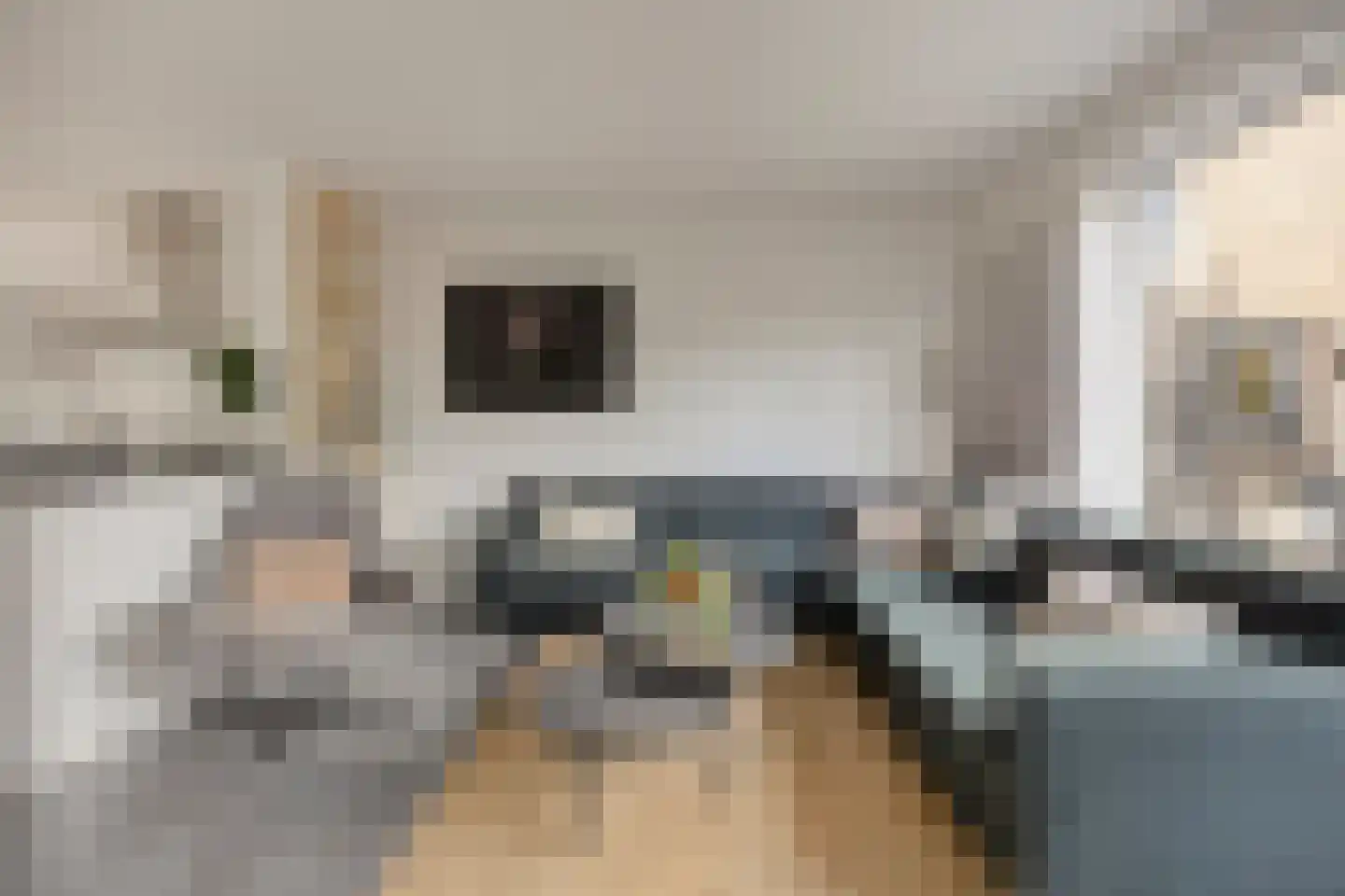 Van der Astpad 11 Alkmaar thumbnail 17