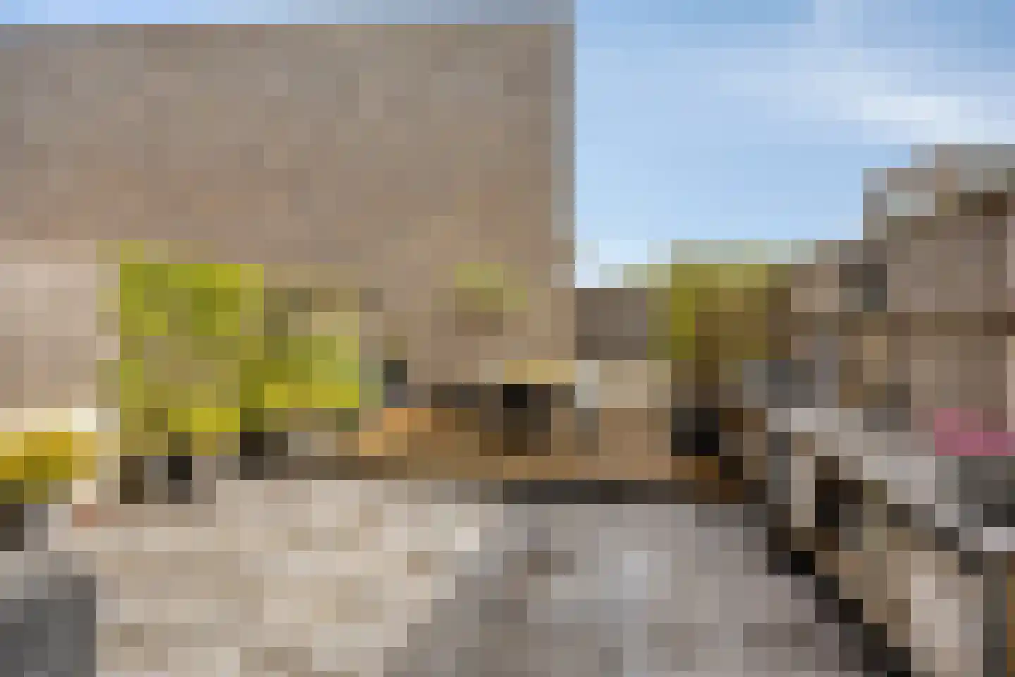 Van der Astpad 11 Alkmaar thumbnail 20