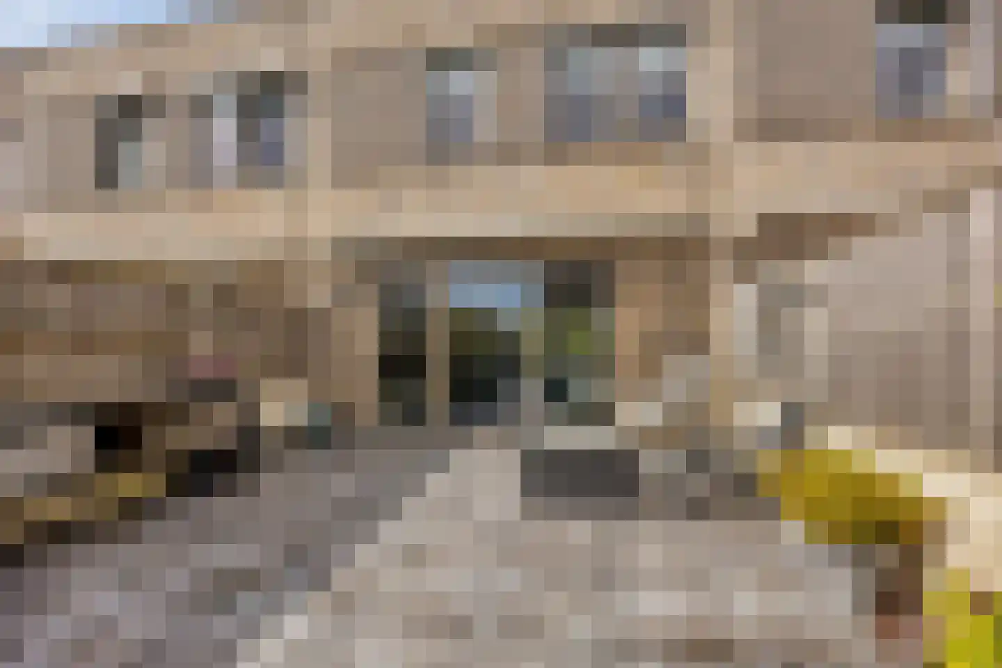 Van der Astpad 11 Alkmaar thumbnail 23