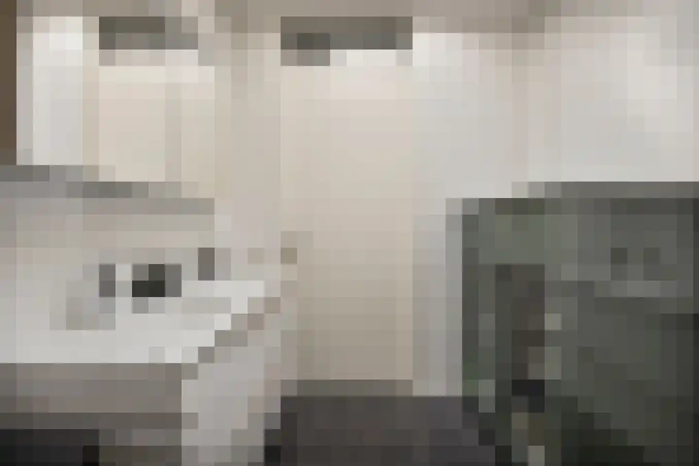 Van der Astpad 11 Alkmaar thumbnail 30