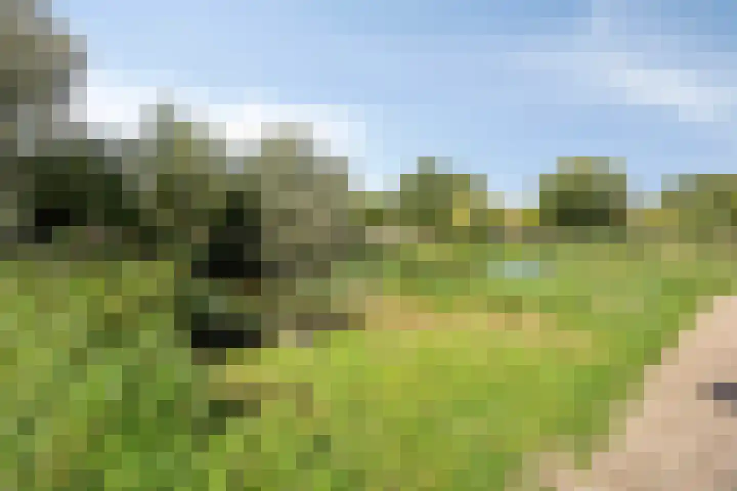 Van der Astpad 11 Alkmaar thumbnail 45