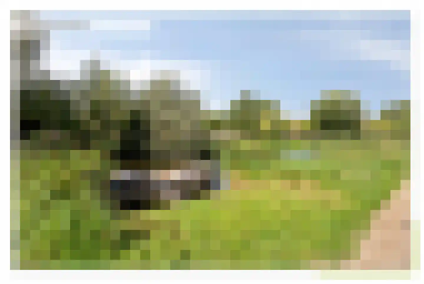 Van der Astpad 11 Alkmaar thumbnail 46