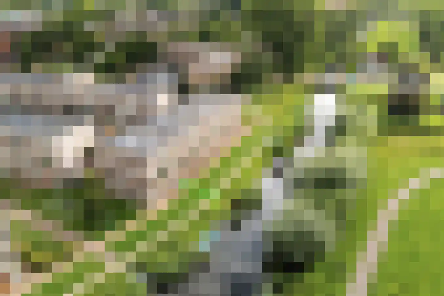 Van der Astpad 11 Alkmaar thumbnail 48