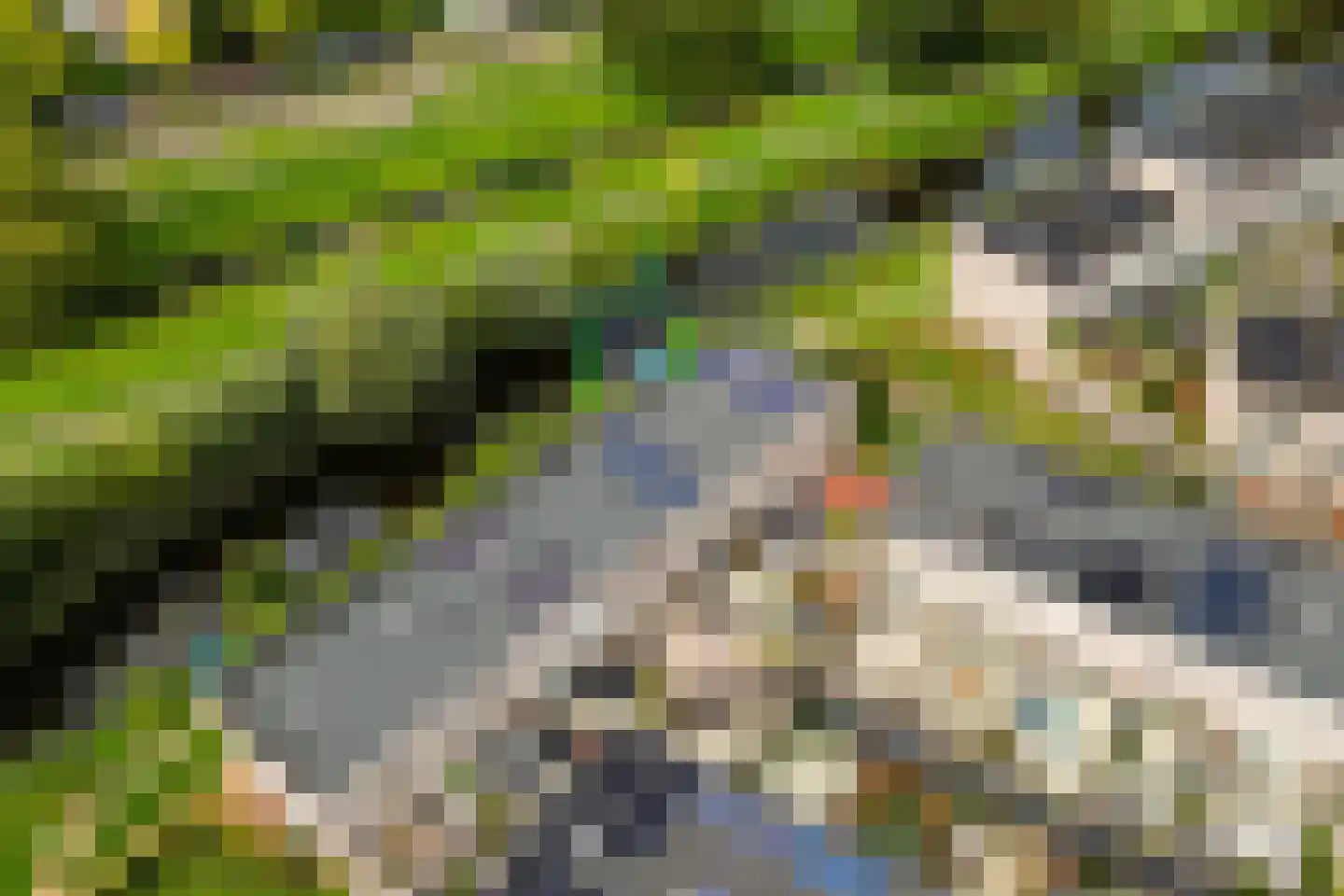 Van der Astpad 11 Alkmaar thumbnail 49