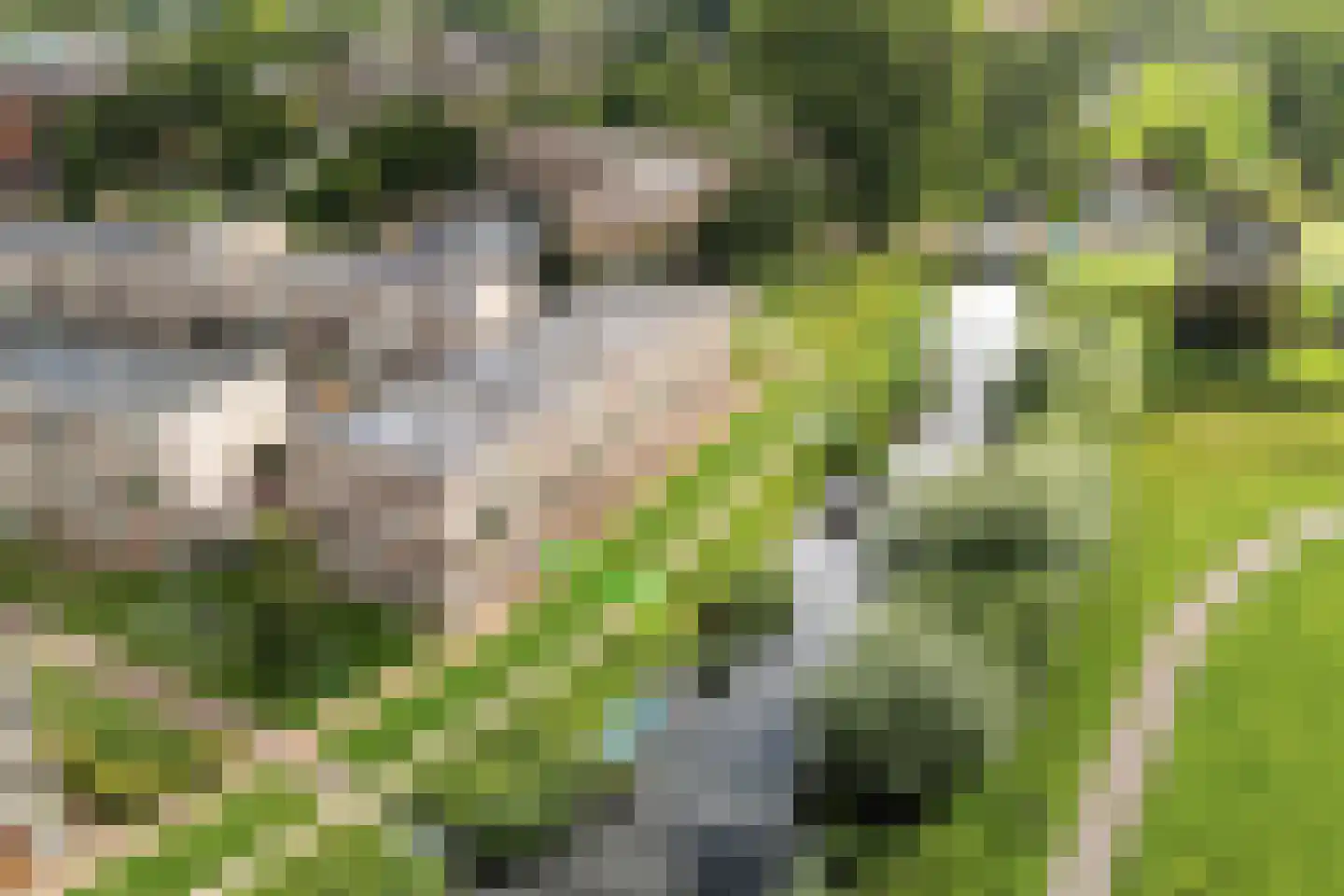Van der Astpad 11 Alkmaar thumbnail 5