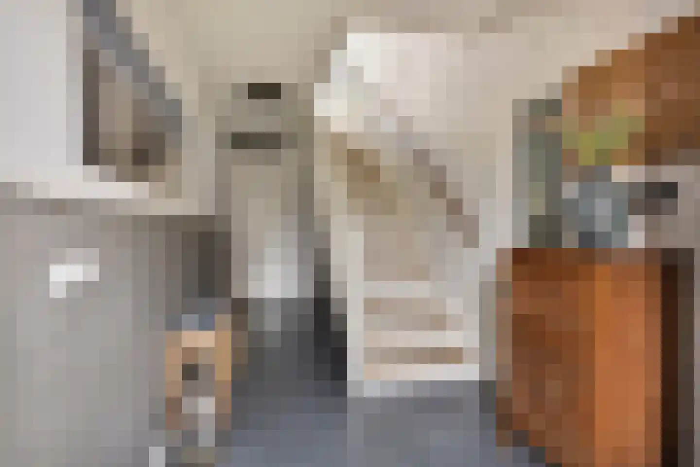 Van der Astpad 11 Alkmaar thumbnail 7