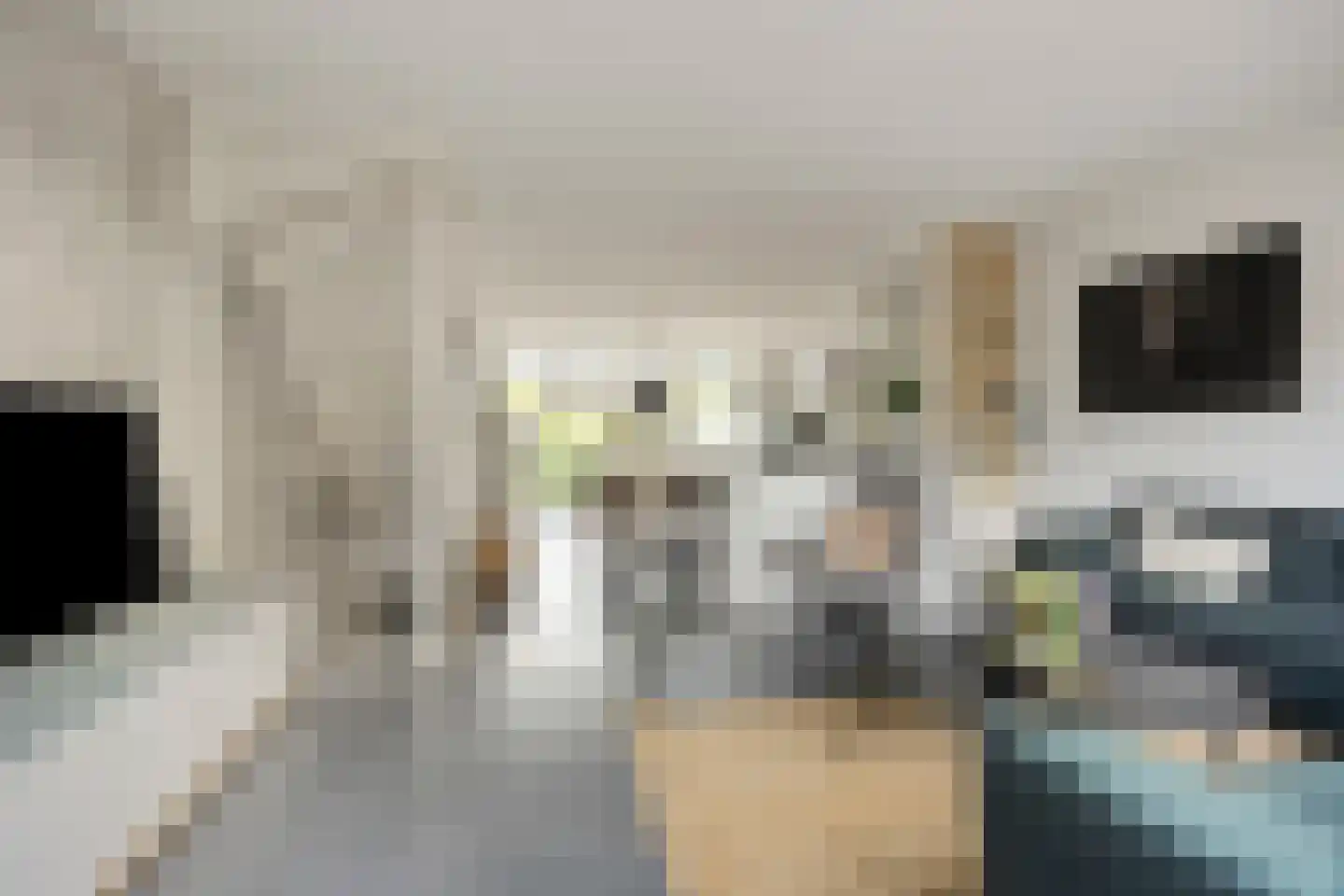 Van der Astpad 11 Alkmaar thumbnail 8