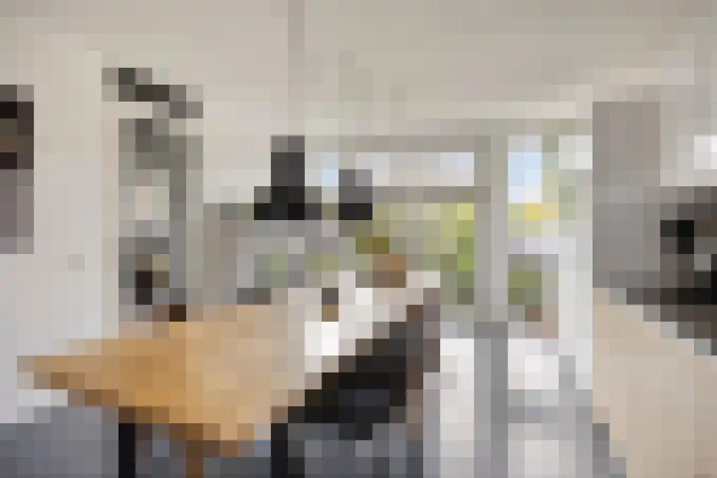 Van der Astpad 11 Alkmaar thumbnail 9