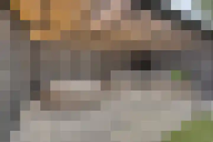 van der Baanstraat 23 Wolphaartsdijk thumbnail 26